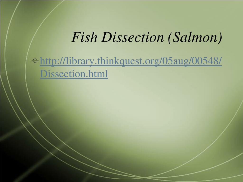PPT Virtual Dissection PowerPoint Presentation, free download ID