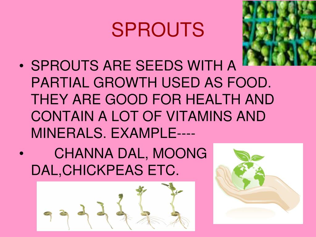 PPT SEEDS AND SEEDS PowerPoint Presentation, free download ID3720687