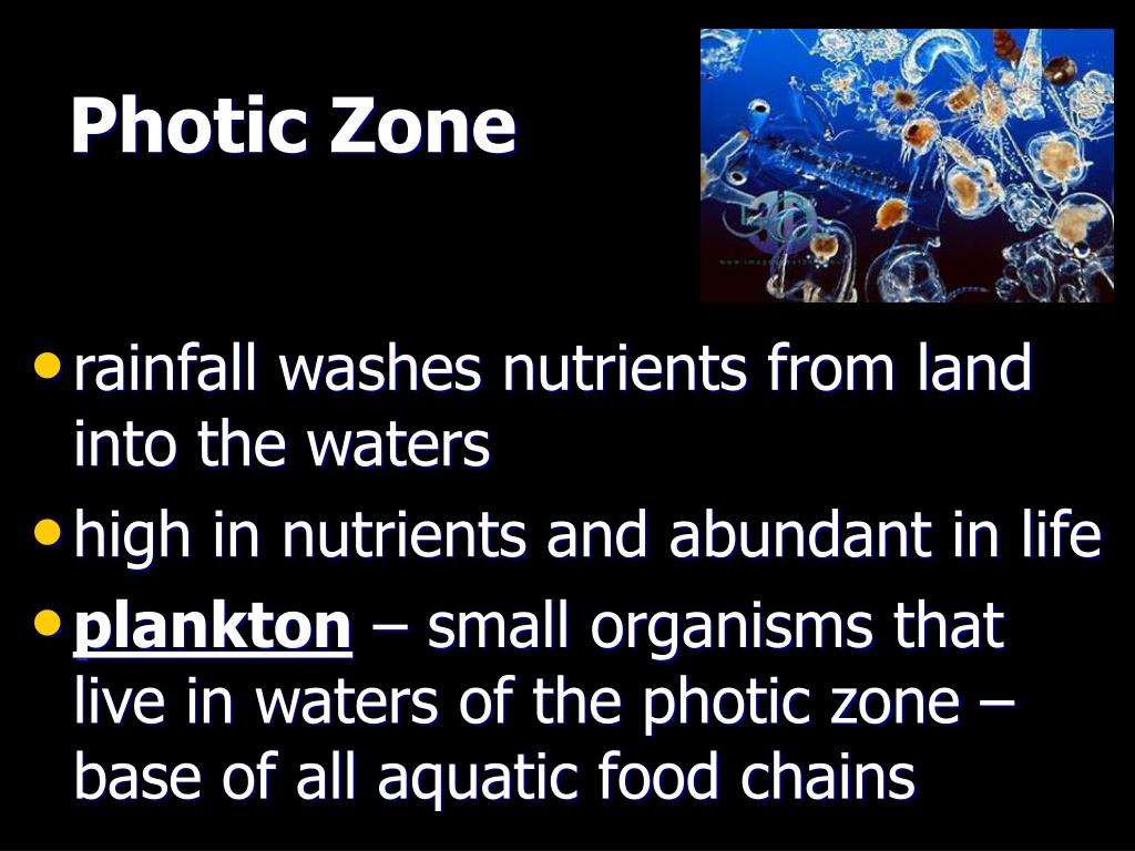 PPT Biomes PowerPoint Presentation, free download ID3723373