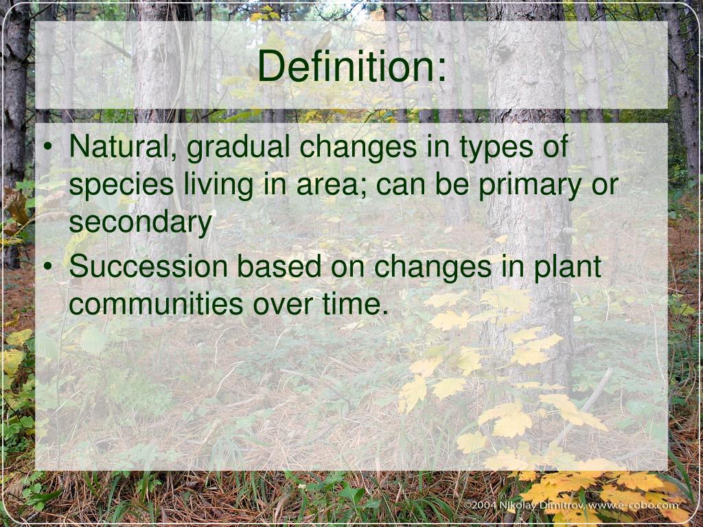 PPT Changes in Ecosystems Ecological Succession PowerPoint