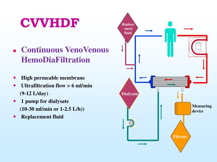 PPT Acute Hemodialysis & CRRT in AKI PowerPoint Presentation ID3724575