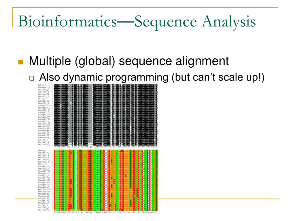 PPT Bioinformatics Basics PowerPoint Presentation, free download ID