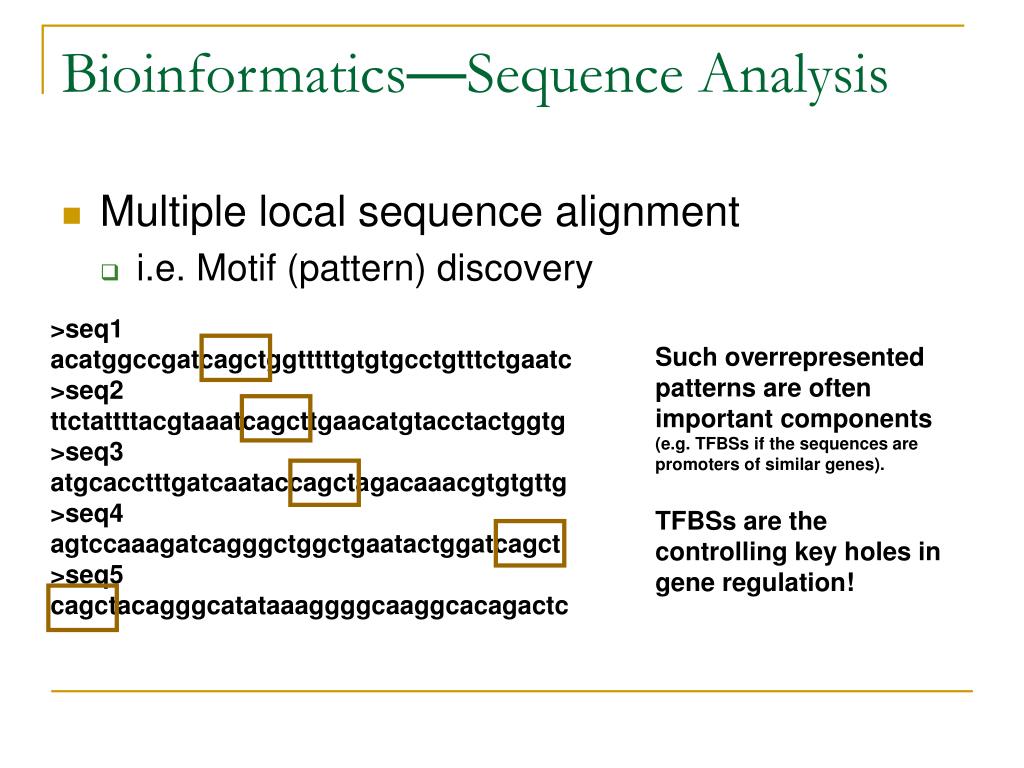 PPT Bioinformatics Basics PowerPoint Presentation, free download ID