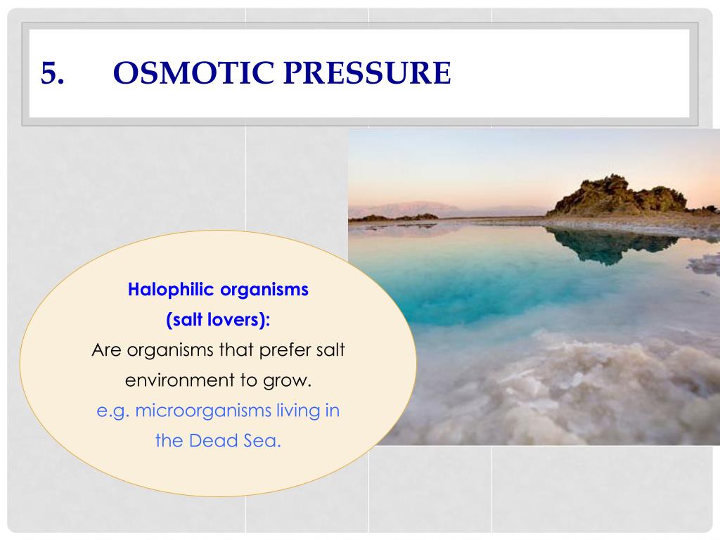 PPT Microbial Growth PowerPoint Presentation, free