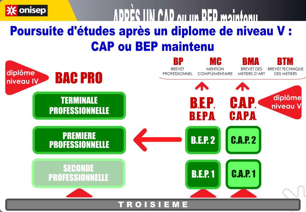 PPT Après 3ème SEGPA La voie Pro PowerPoint Presentation, free