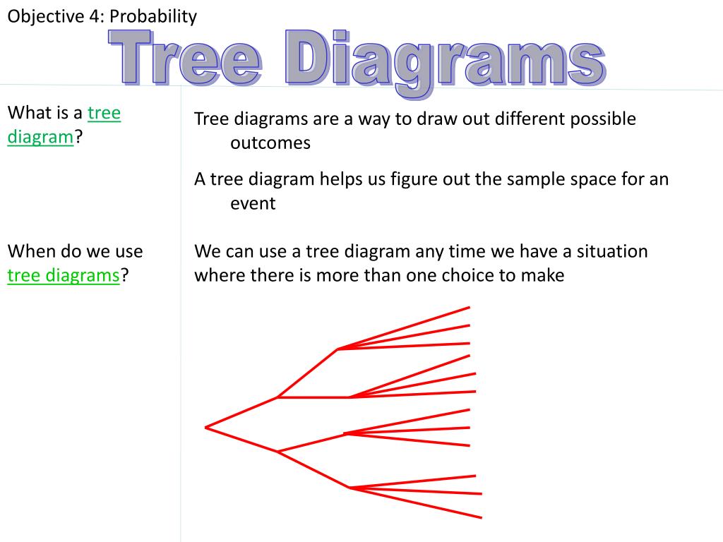 PPT - What is a tree diagram ? PowerPoint Presentation, free download