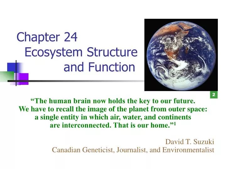 PPT Chapter 24 Ecosystem Structure and Function PowerPoint