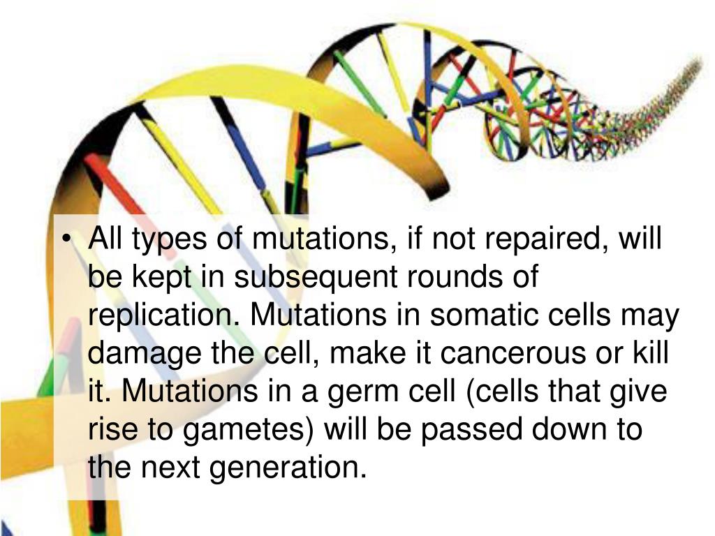 PPT Types of Mutations PowerPoint Presentation, free download