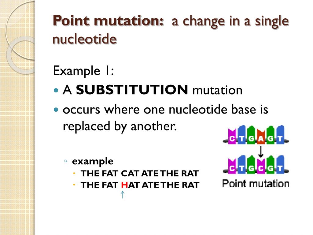 PPT Mutations PowerPoint Presentation, free download ID3749401