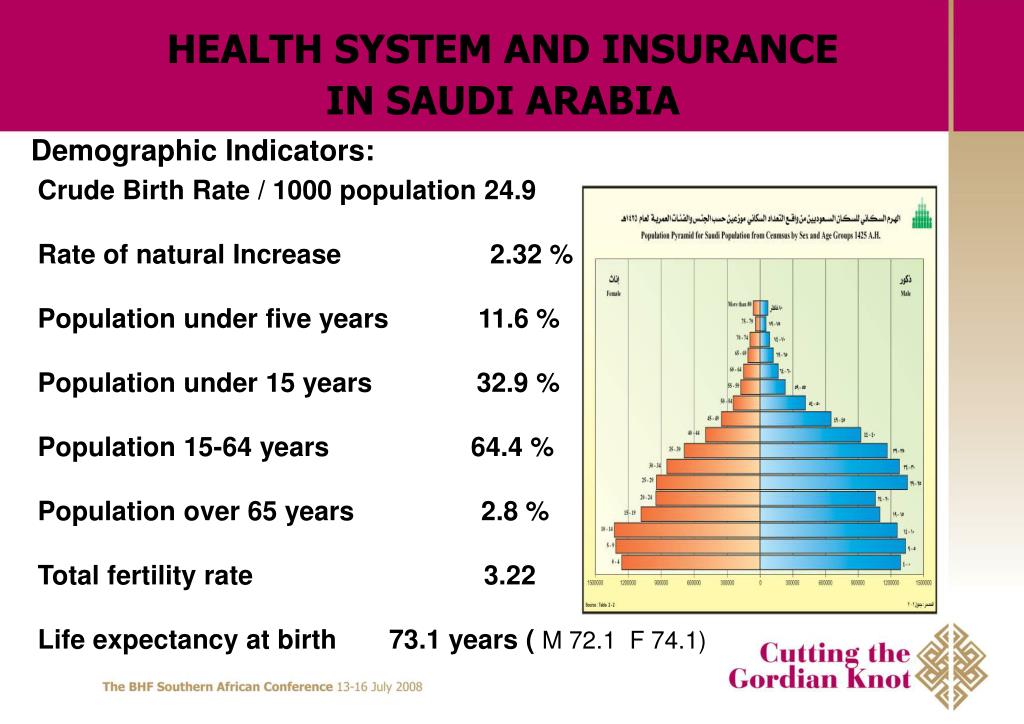 PPT HEALTH SYSTEM AND INSURANCE IN SAUDI ARABIA PowerPoint