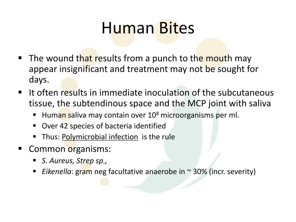 PPT Hand Infections PowerPoint Presentation, free download ID3753697