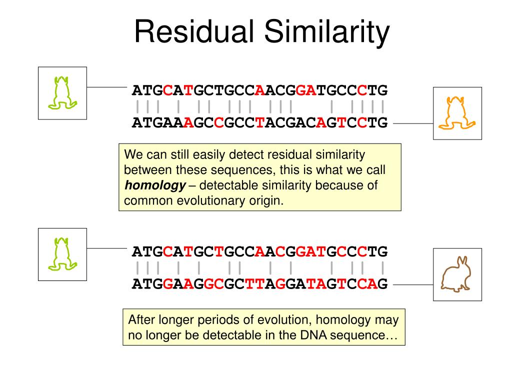 PPT Bioinformatics 1 Sequences and Similarity Searches