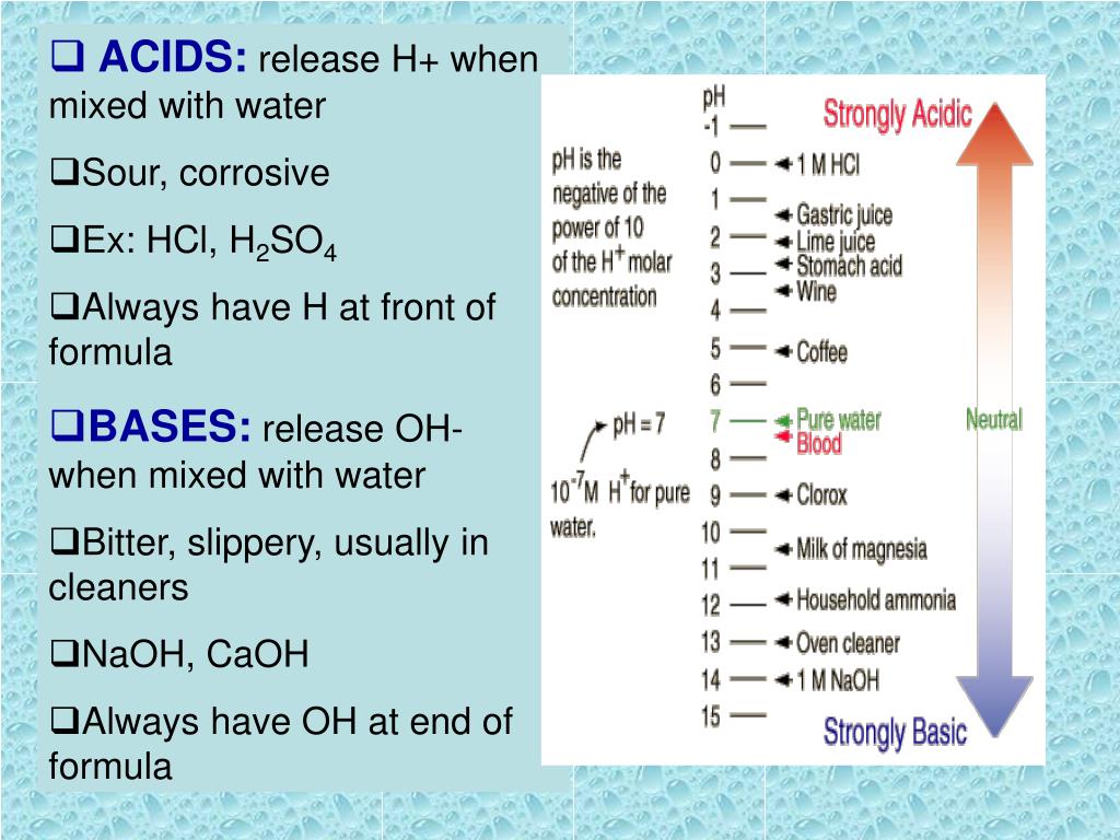 PPT Biology 102 A PowerPoint Presentation, free download ID3758287