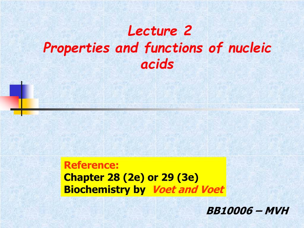 PPT Lecture 2 Properties and functions of nucleic acids PowerPoint