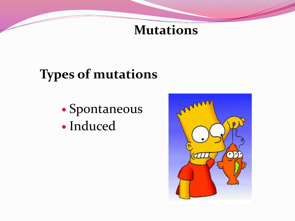 PPT Bacterial PowerPoint Presentation, free download ID3758756