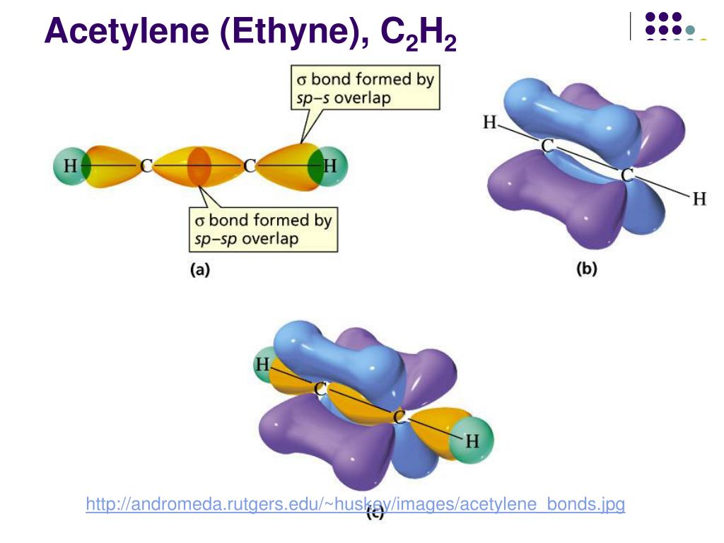 PPT Hybridization PowerPoint Presentation, free download ID3758925