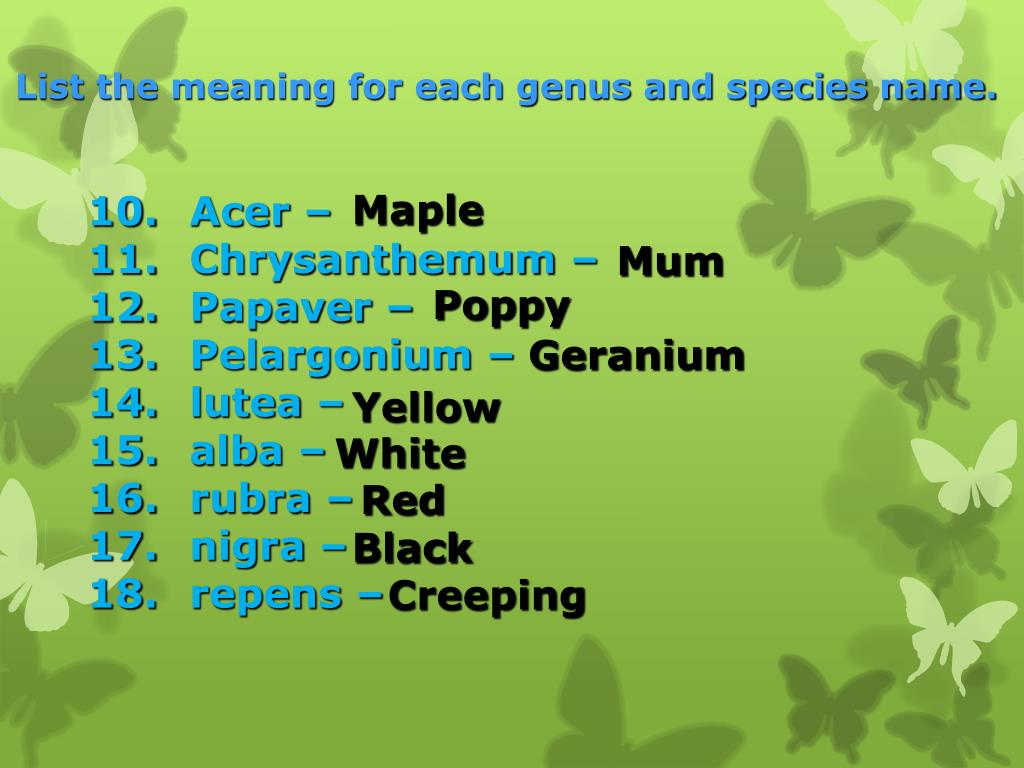 PPT Plant Taxonomy PowerPoint Presentation, free download ID3762914