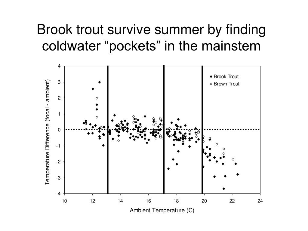 PPT FISH POPULATION DYNAMICS PowerPoint Presentation, free download