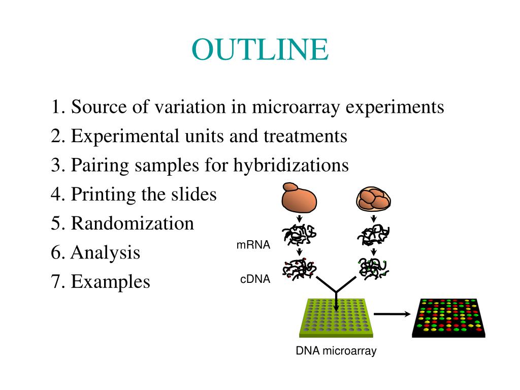 Fundamentals Of Experimental Design For Cdna Microarrays