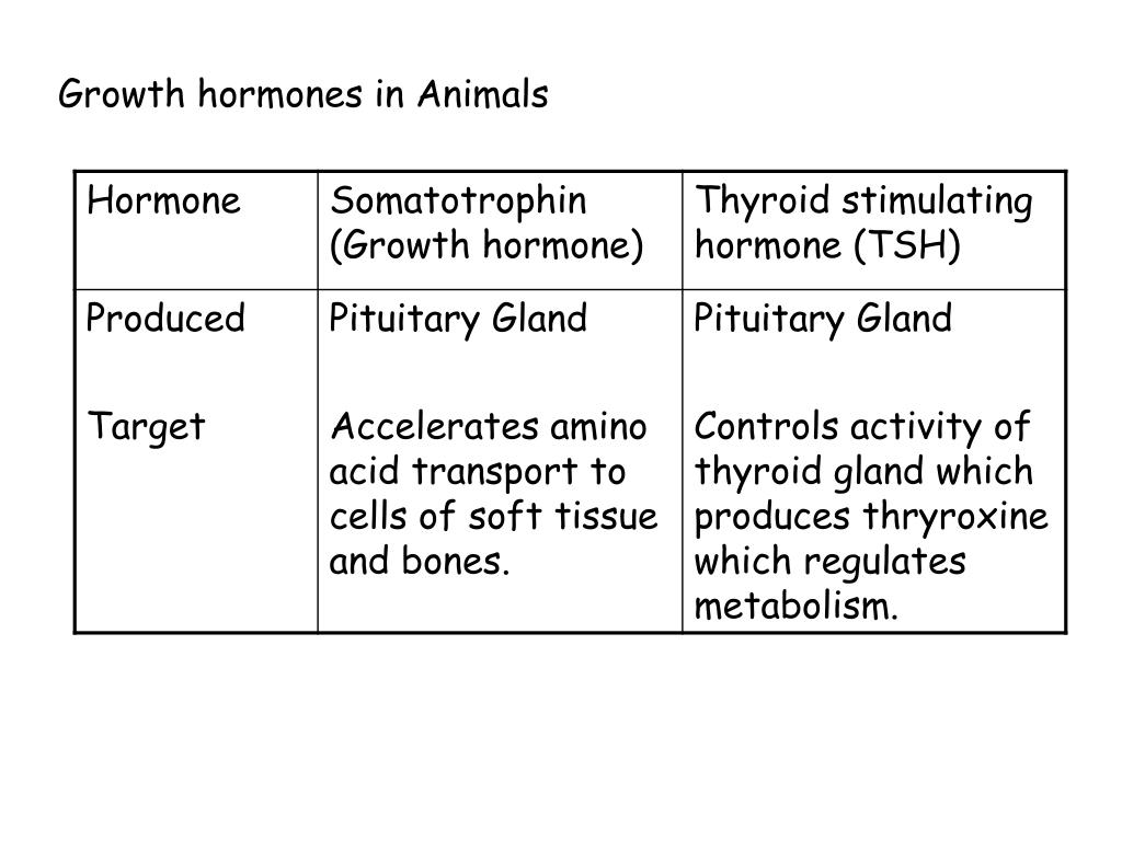PPT Hormonal Influences on growth PowerPoint Presentation, free download ID3764483