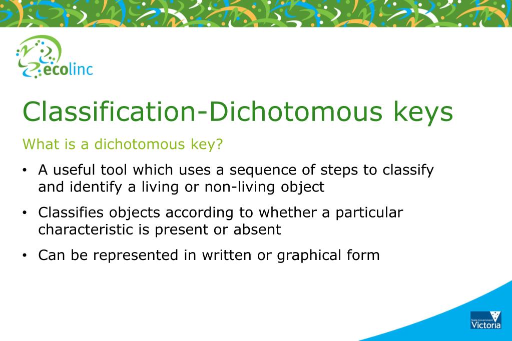 PPT - Classification-Dichotomous keys What is a dichotomous key