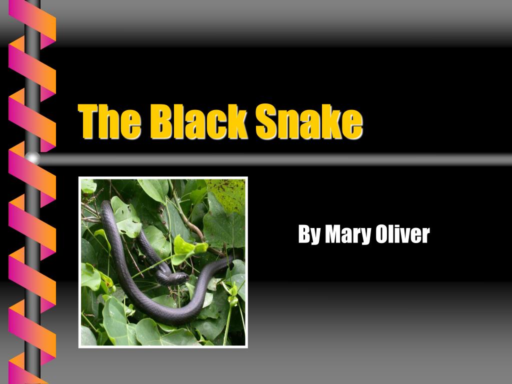 PPT Similes in Poetry PowerPoint Presentation, free download ID3765476