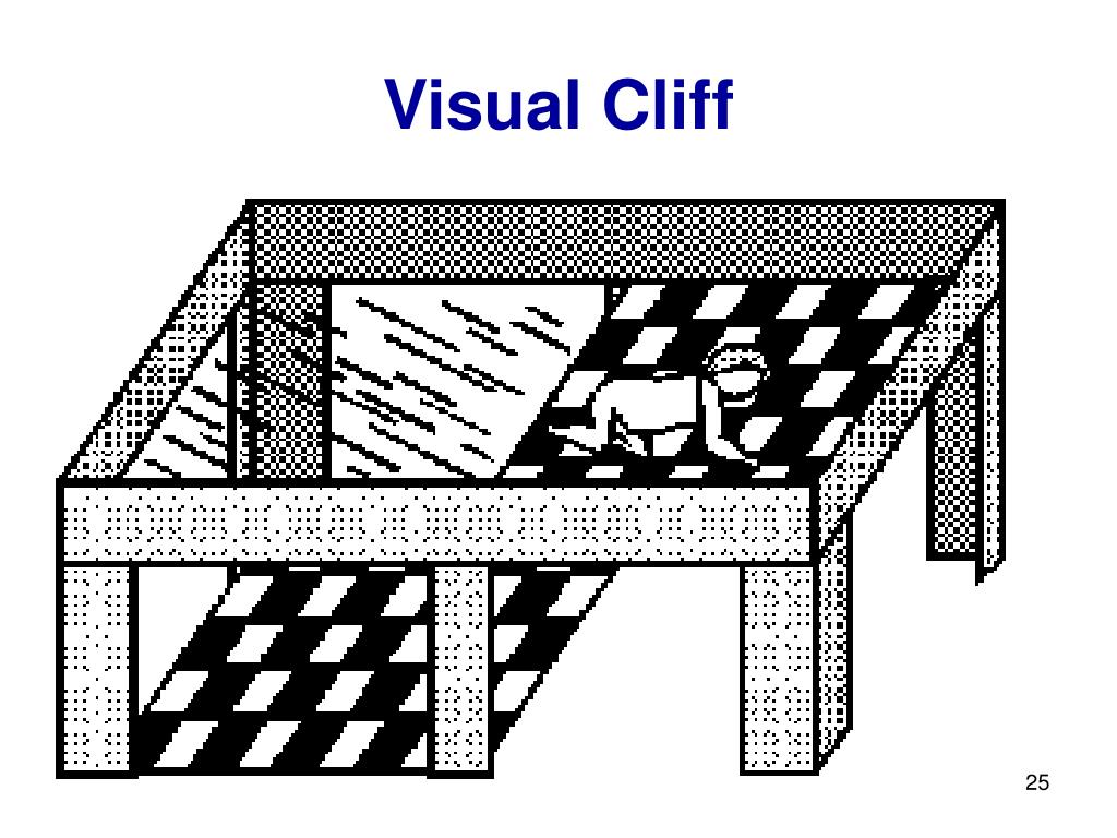 Visual Cliff Psychology