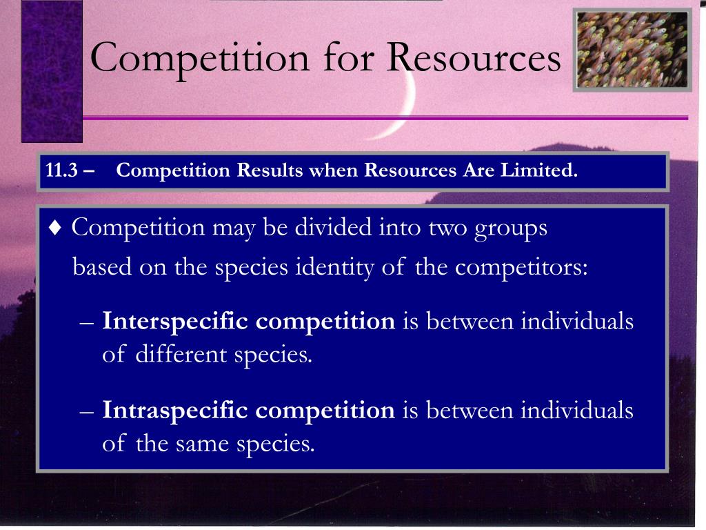 PPT Chapter 11 Population Regulation (pg. 223 237) PowerPoint