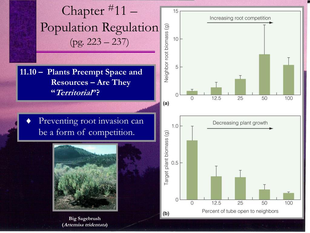 PPT Chapter 11 Population Regulation (pg. 223 237) PowerPoint