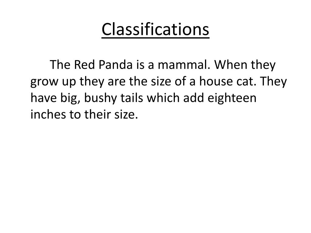 PPT Red Panda PowerPoint Presentation, free download ID3766416