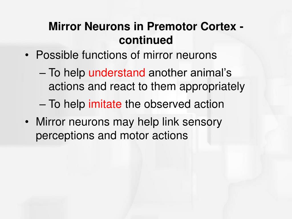 PPT Chapter 10 Perception and Action PowerPoint Presentation, free