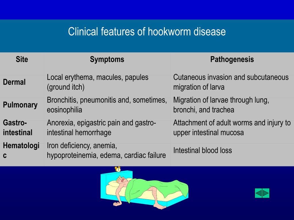 PPT Hookworms PowerPoint Presentation, free download ID3766939
