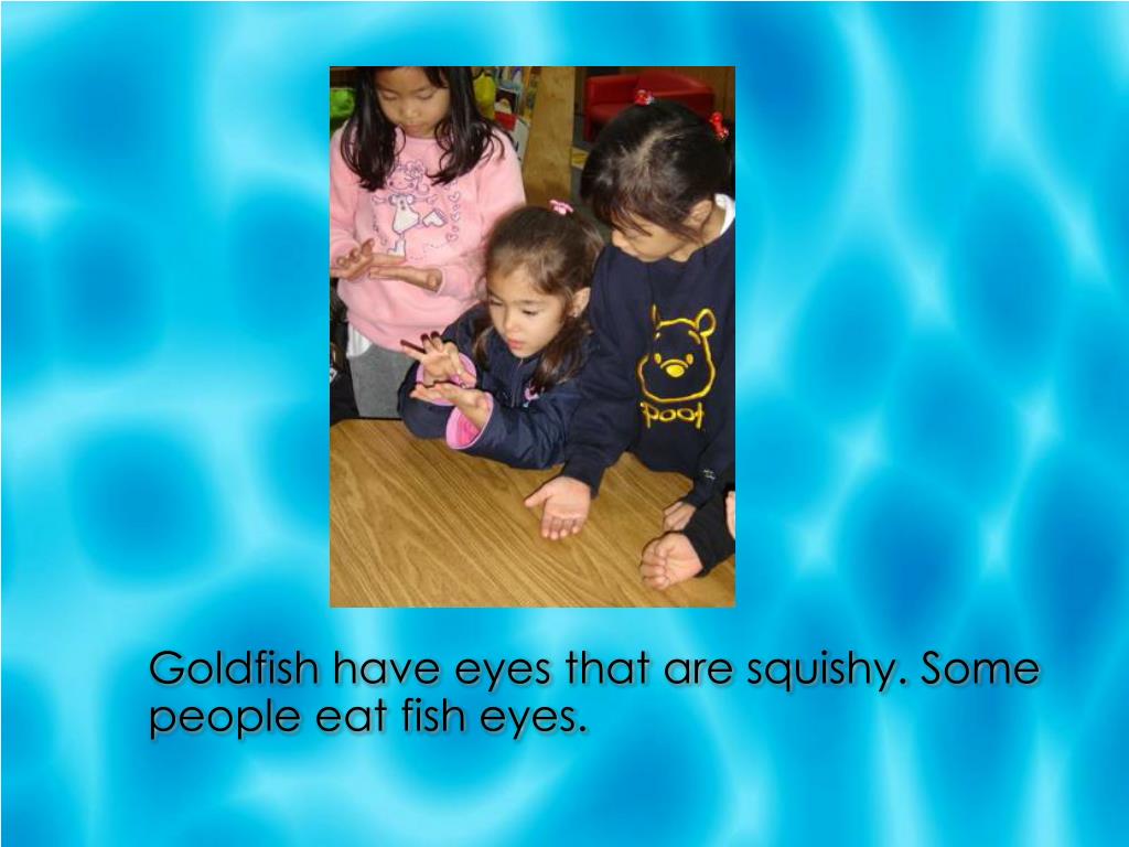 PPT All About Goldfish PowerPoint Presentation, free download ID