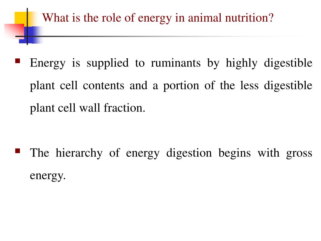 PPT Animal nutrition on the rangeland By Dr A. Riasi PhD in Animal