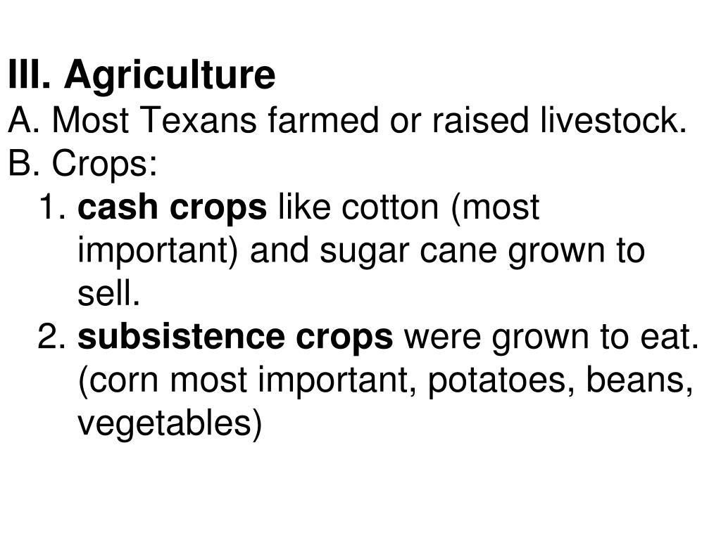 PPT LIFE IN EARLY TEXAS 1840'S 1860'S PowerPoint Presentation, free