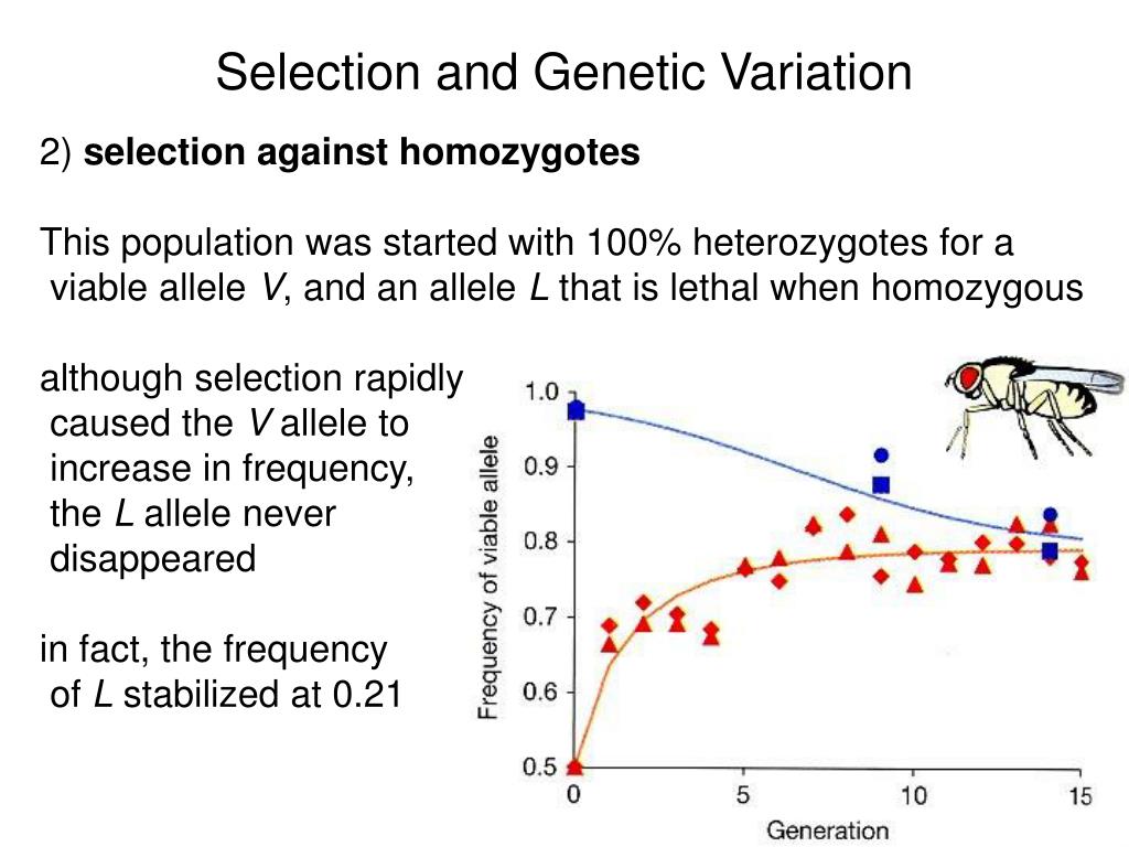 PPT Selection and Variation PowerPoint Presentation, free