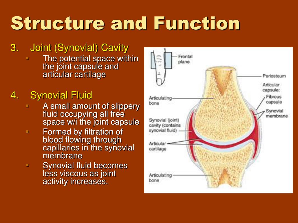 PPT Joints! PowerPoint Presentation, free download ID3772670