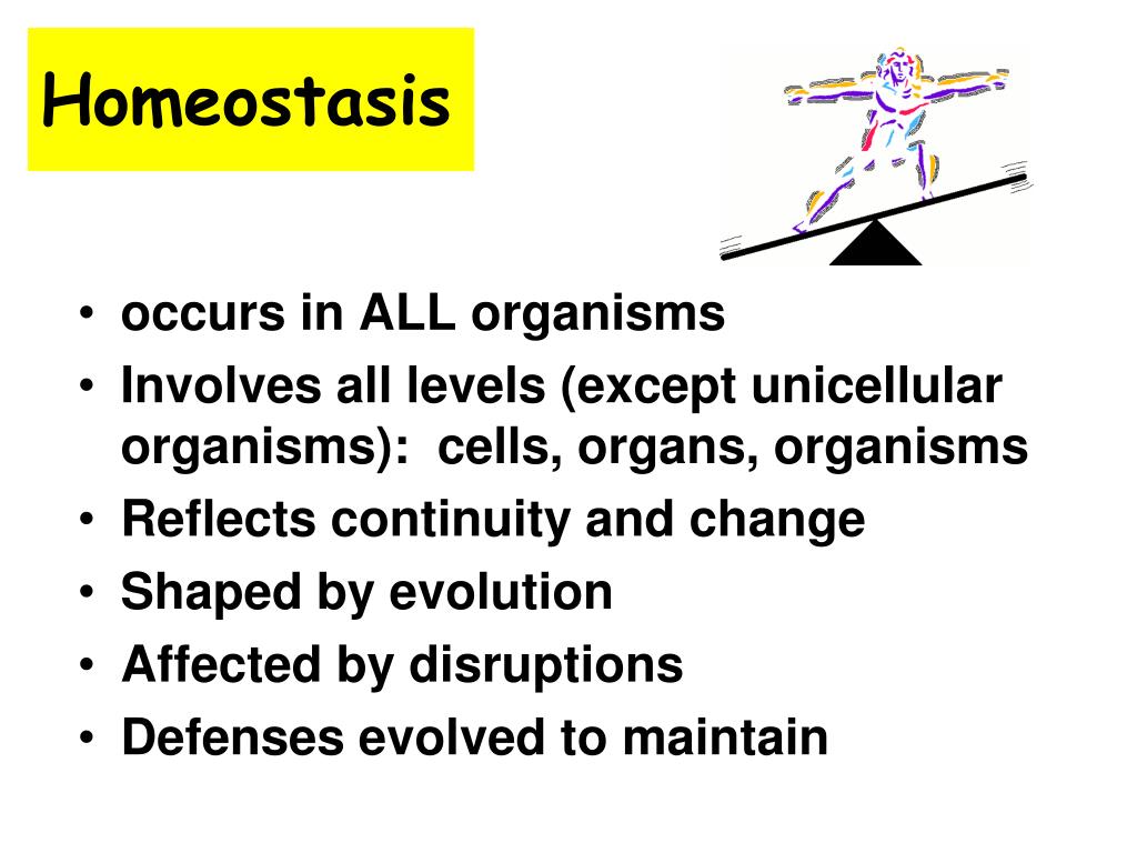 PPT AP Biology Unit Four Maintaining Homeostasis PowerPoint
