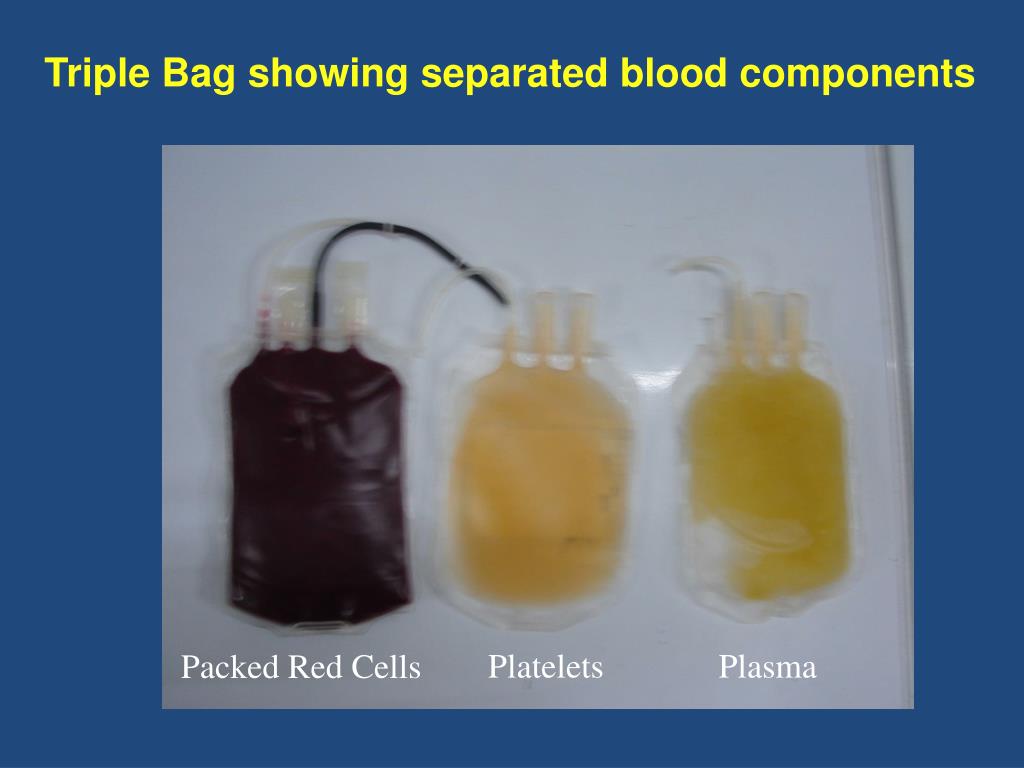 PPT BLOOD COMPONENT PREPARATION PowerPoint Presentation, free
