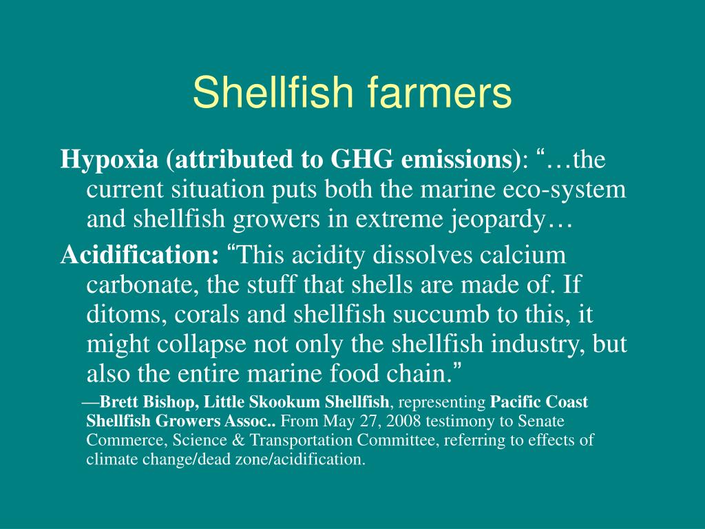 PPT The need for research on ocean acidification and fisheries