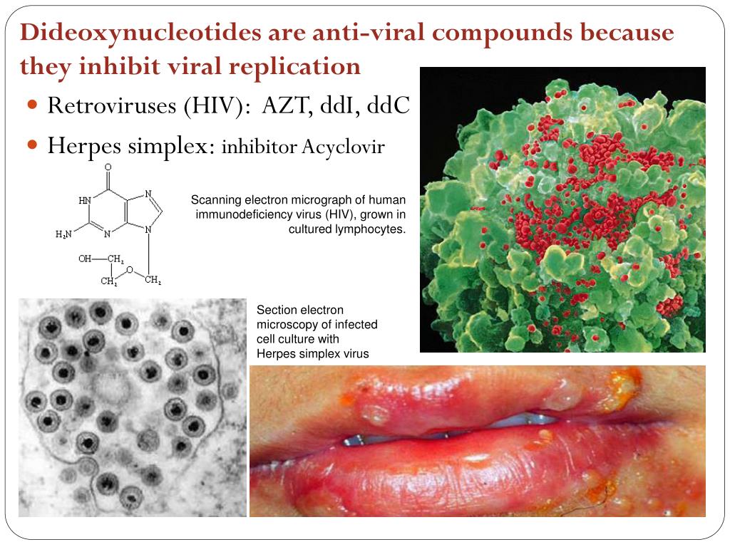 PPT DNA Duplication and Sequencing PowerPoint Presentation, free