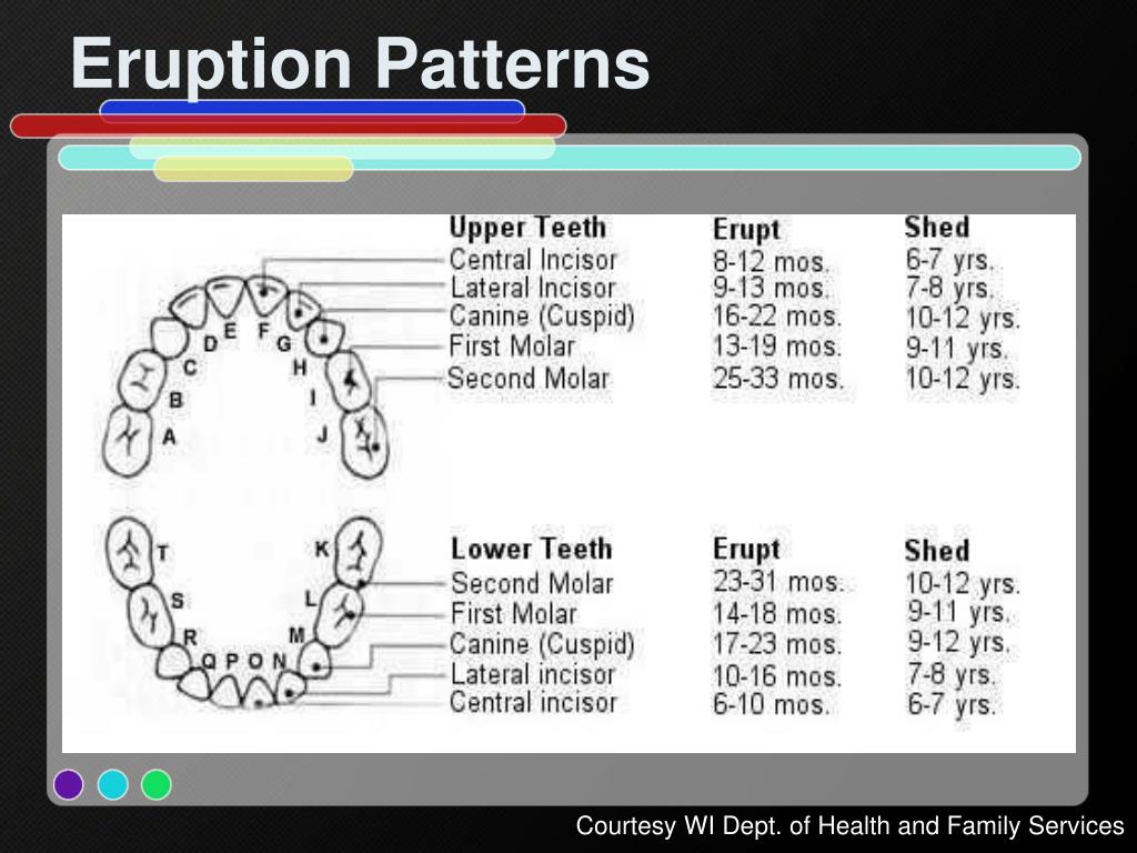 PPT Infant Oral Health Care PowerPoint Presentation, free download