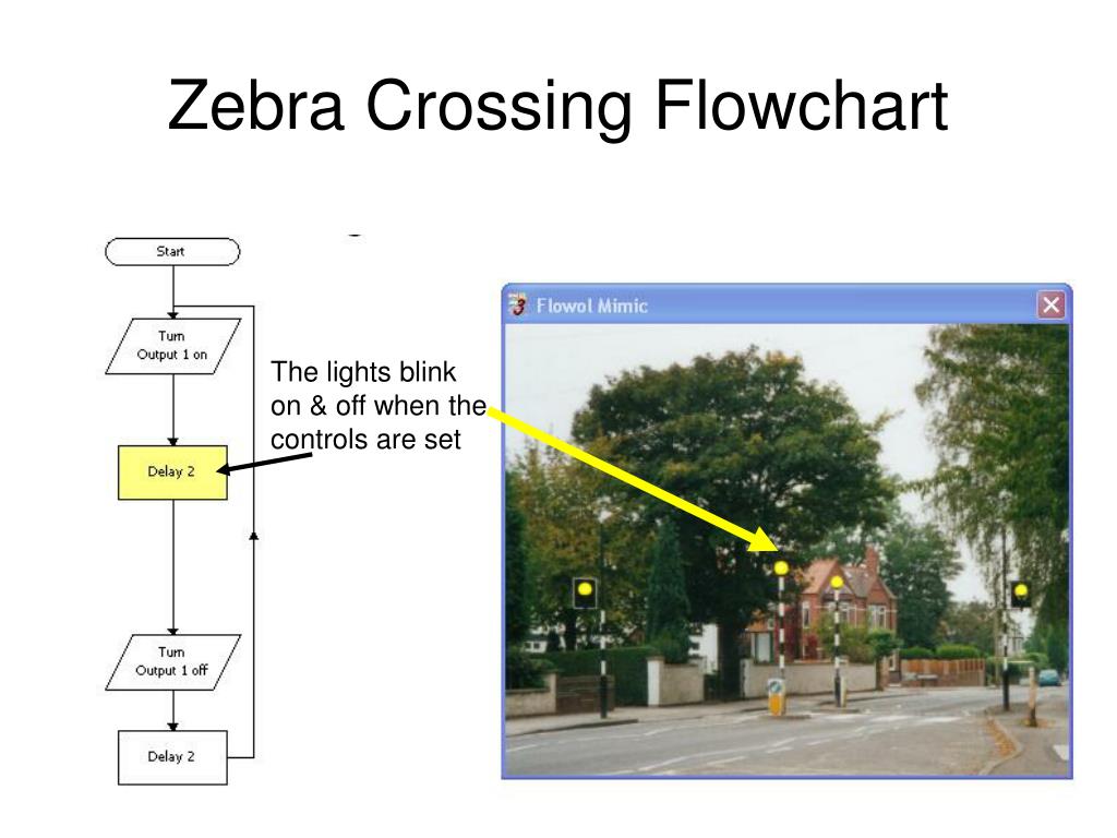 PPT Using Flowol Software PowerPoint Presentation, free download ID