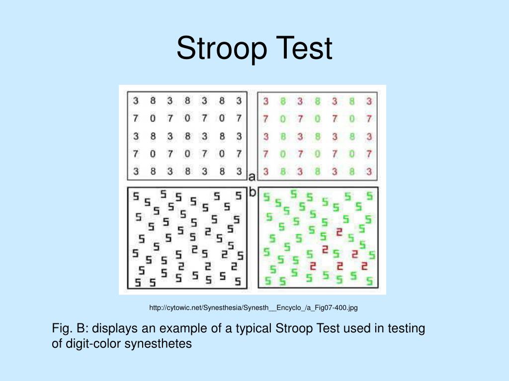 PPT The of Synesthesia and Absolute Pitch PowerPoint