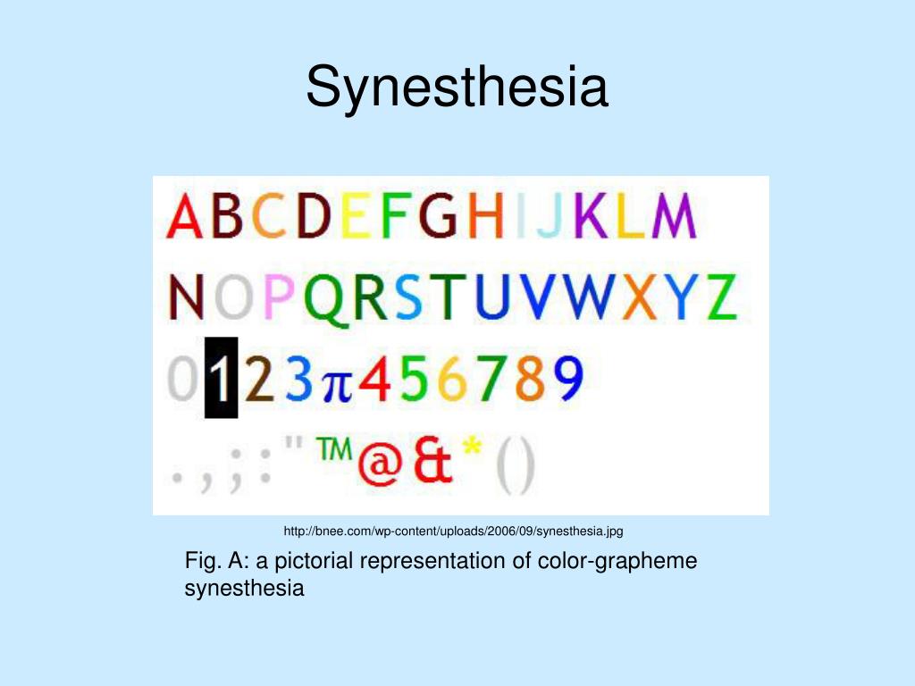 PPT The of Synesthesia and Absolute Pitch PowerPoint