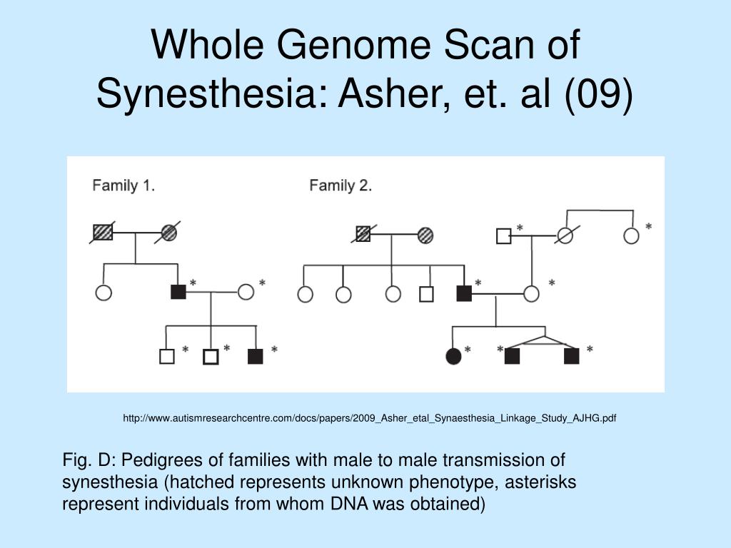 PPT The of Synesthesia and Absolute Pitch PowerPoint
