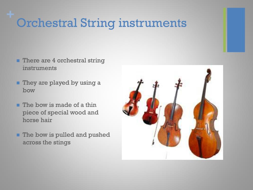 PPT The String Family PowerPoint Presentation, free download ID3789378