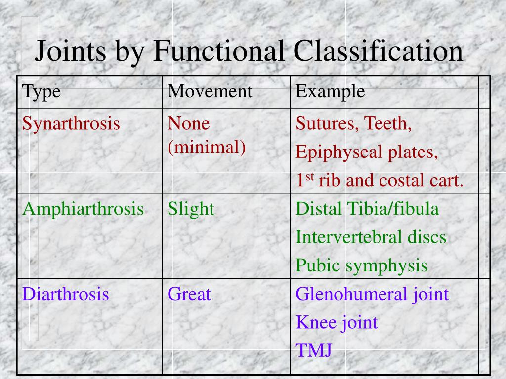 PPT Bones, Joints and Muscles PowerPoint Presentation, free download