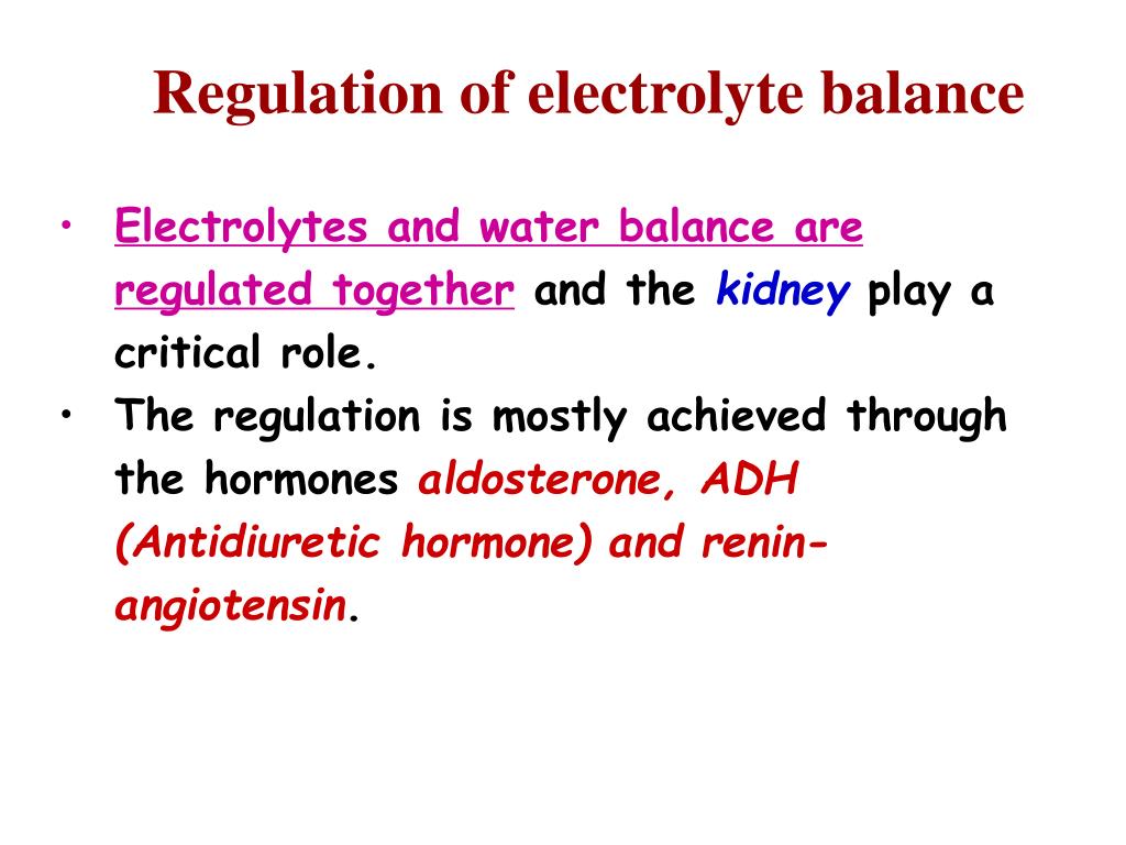 PPT Water & Electrolyte Balance PowerPoint Presentation, free