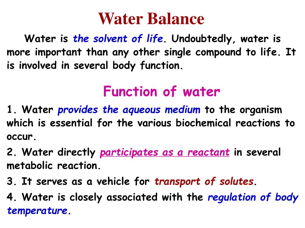 PPT Water & Electrolyte Balance PowerPoint Presentation, free